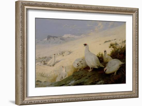 Ptarmigan, 1903-Archibald Thorburn-Framed Giclee Print