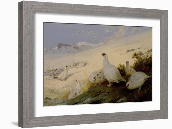 Ptarmigan, 1903-Archibald Thorburn-Framed Giclee Print