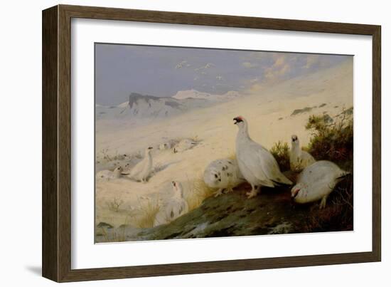 Ptarmigan, 1903-Archibald Thorburn-Framed Giclee Print