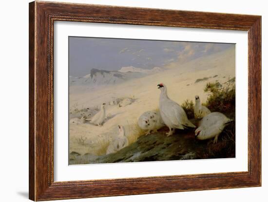 Ptarmigan, 1903-Archibald Thorburn-Framed Giclee Print