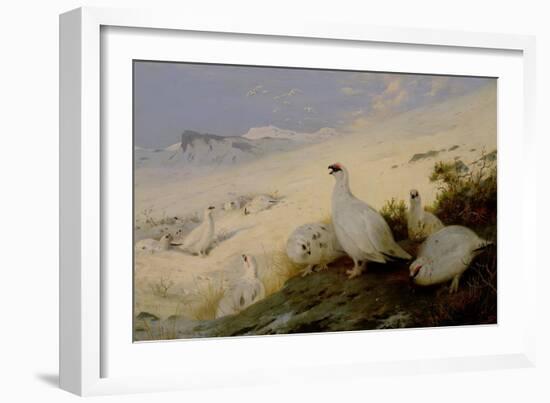 Ptarmigan, 1903-Archibald Thorburn-Framed Giclee Print