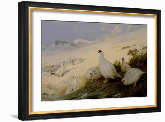 Ptarmigan, 1903-Archibald Thorburn-Framed Giclee Print