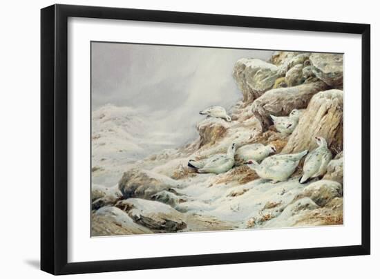 Ptarmigan in snow covered landscape-Carl Donner-Framed Giclee Print