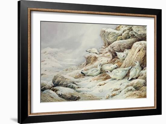 Ptarmigan in snow covered landscape-Carl Donner-Framed Giclee Print