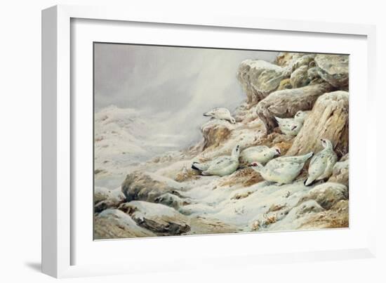 Ptarmigan in snow covered landscape-Carl Donner-Framed Giclee Print
