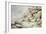 Ptarmigan in snow covered landscape-Carl Donner-Framed Giclee Print