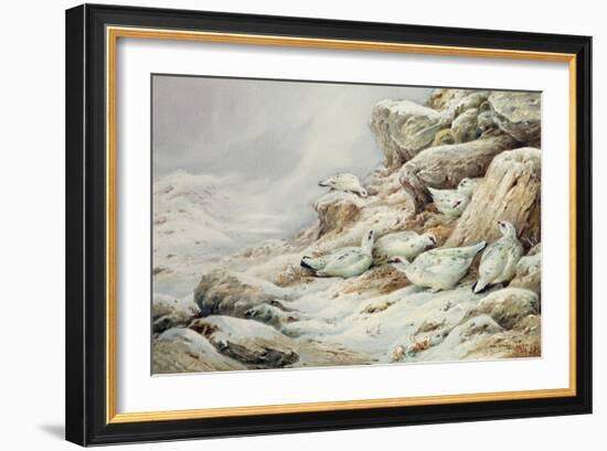 Ptarmigan in snow covered landscape-Carl Donner-Framed Giclee Print