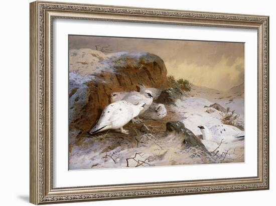 Ptarmigan in the Snow-Archibald Thorburn-Framed Giclee Print