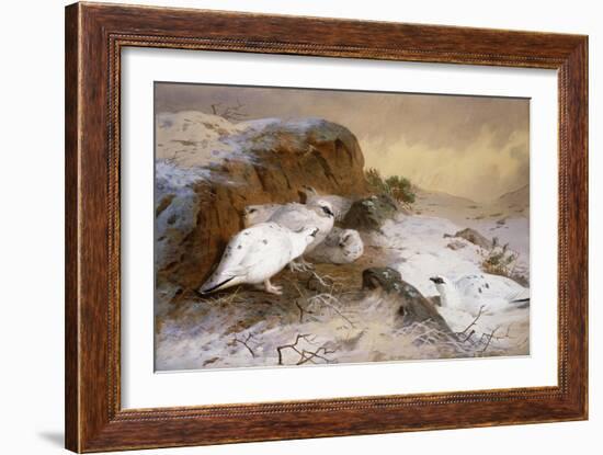 Ptarmigan in the Snow-Archibald Thorburn-Framed Giclee Print