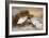 Ptarmigan in the Snow-Archibald Thorburn-Framed Giclee Print