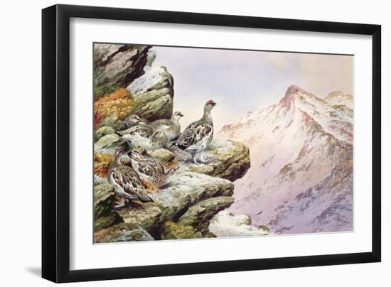 Ptarmigan on the High Tops-Carl Donner-Framed Giclee Print