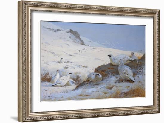 Ptarmigan-Archibald Thorburn-Framed Giclee Print