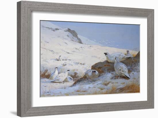 Ptarmigan-Archibald Thorburn-Framed Giclee Print