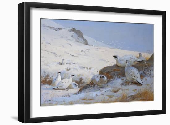 Ptarmigan-Archibald Thorburn-Framed Giclee Print