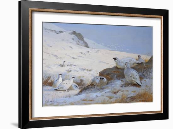 Ptarmigan-Archibald Thorburn-Framed Giclee Print