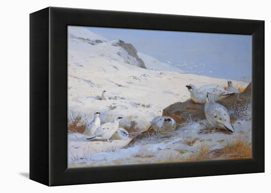 Ptarmigan-Archibald Thorburn-Framed Premier Image Canvas