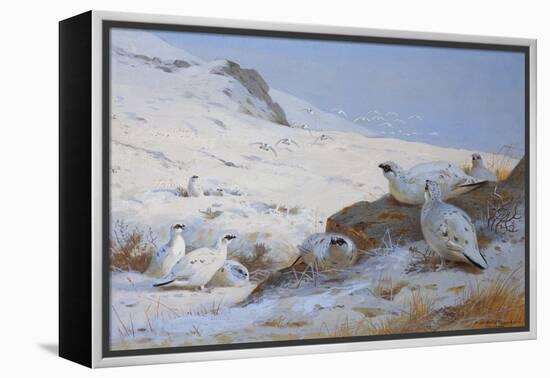 Ptarmigan-Archibald Thorburn-Framed Premier Image Canvas