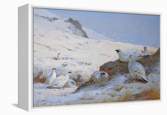 Ptarmigan-Archibald Thorburn-Framed Premier Image Canvas