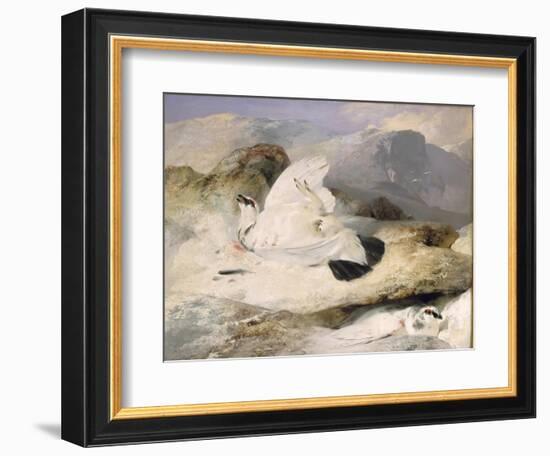 Ptarmigan-Edwin Henry Landseer-Framed Giclee Print