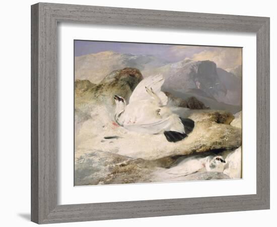 Ptarmigan-Edwin Henry Landseer-Framed Giclee Print