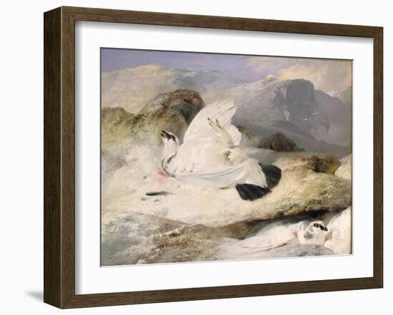 Ptarmigan-Edwin Henry Landseer-Framed Giclee Print