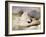 Ptarmigan-Edwin Henry Landseer-Framed Giclee Print