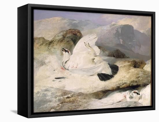 Ptarmigan-Edwin Henry Landseer-Framed Premier Image Canvas