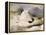 Ptarmigan-Edwin Henry Landseer-Framed Premier Image Canvas