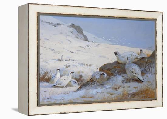 Ptarmigan-Archibald Thorburn-Framed Premier Image Canvas