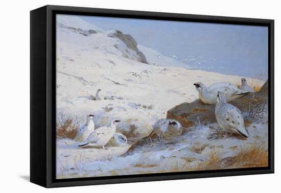 Ptarmigan-Archibald Thorburn-Framed Premier Image Canvas