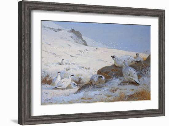 Ptarmigan-Archibald Thorburn-Framed Giclee Print