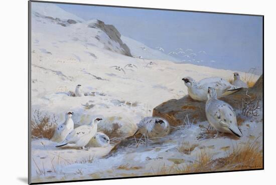 Ptarmigan-Archibald Thorburn-Mounted Giclee Print