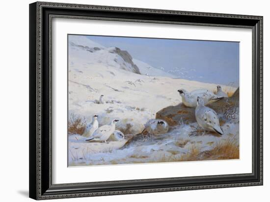 Ptarmigan-Archibald Thorburn-Framed Giclee Print