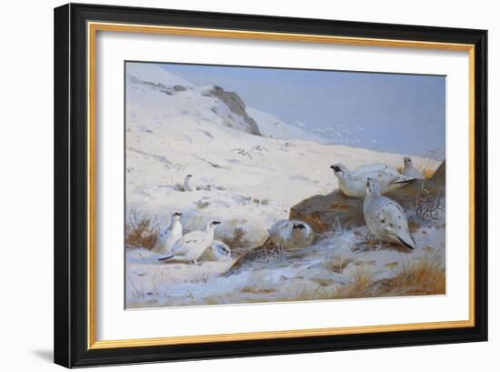 Ptarmigan-Archibald Thorburn-Framed Giclee Print