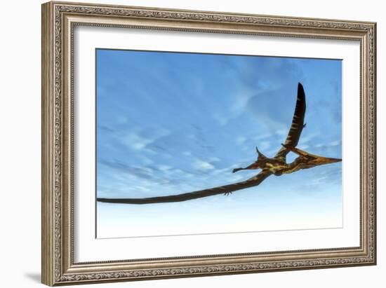 Pteranodon Bird Flying in Blue Sky-Stocktrek Images-Framed Art Print