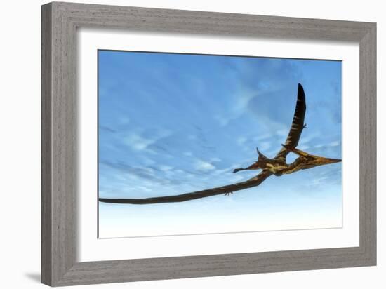 Pteranodon Bird Flying in Blue Sky-Stocktrek Images-Framed Art Print