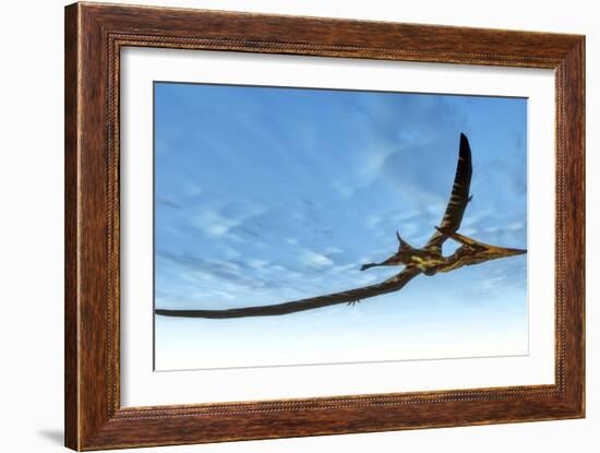 Pteranodon Bird Flying in Blue Sky-Stocktrek Images-Framed Art Print