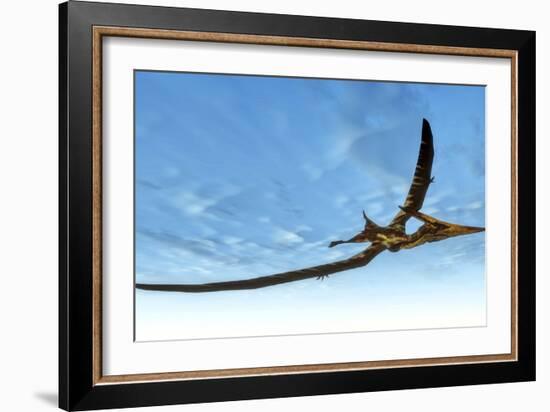 Pteranodon Bird Flying in Blue Sky-Stocktrek Images-Framed Art Print