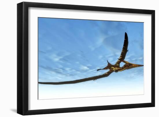 Pteranodon Bird Flying in Blue Sky-Stocktrek Images-Framed Art Print