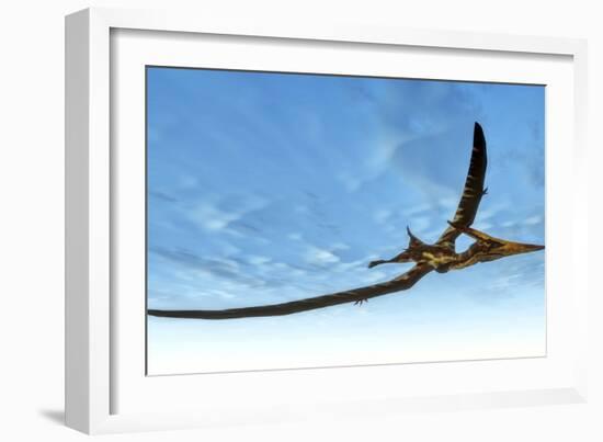 Pteranodon Bird Flying in Blue Sky-Stocktrek Images-Framed Art Print