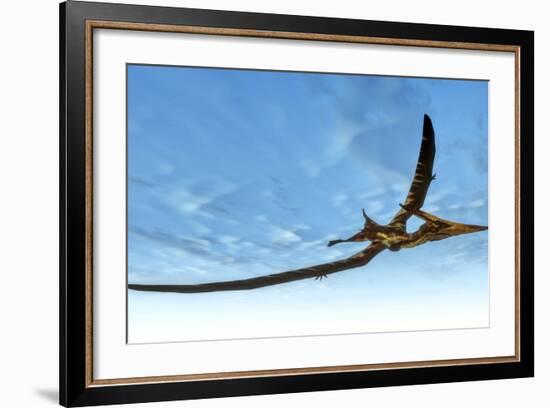 Pteranodon Bird Flying in Blue Sky-Stocktrek Images-Framed Art Print