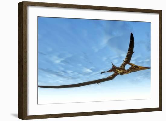 Pteranodon Bird Flying in Blue Sky-Stocktrek Images-Framed Art Print