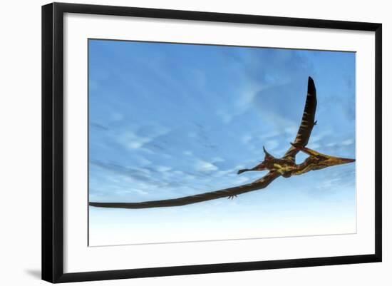 Pteranodon Bird Flying in Blue Sky-Stocktrek Images-Framed Art Print