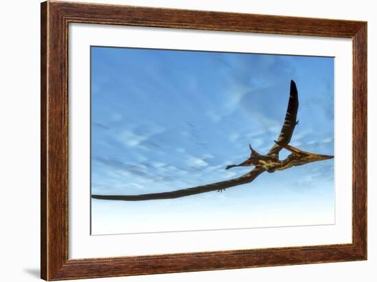 Pteranodon Bird Flying in Blue Sky-Stocktrek Images-Framed Art Print