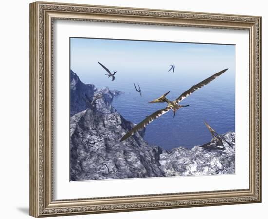 Pteranodon Birds Flying Above Coastal Rocks on a Beautiful Day-Stocktrek Images-Framed Art Print