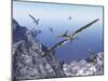 Pteranodon Birds Flying Above Coastal Rocks on a Beautiful Day-Stocktrek Images-Mounted Art Print
