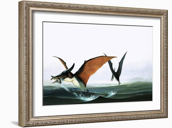 Pteranodon Catching a Fish-Francis Phillipps-Framed Giclee Print