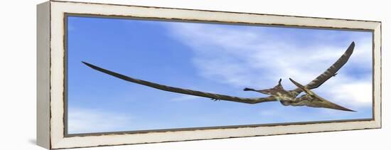 Pteranodon Dinosaur Flying in the Blue Sky-null-Framed Stretched Canvas