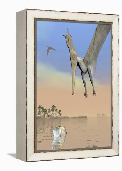 Pteranodon Fishing for Food-null-Framed Stretched Canvas