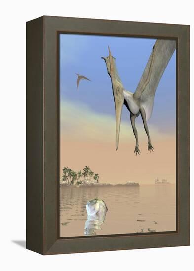 Pteranodon Fishing for Food-null-Framed Stretched Canvas